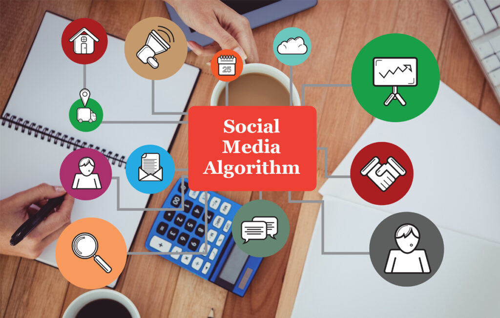 Understanding Social Media Algorithms [2024 Complete Guide]
