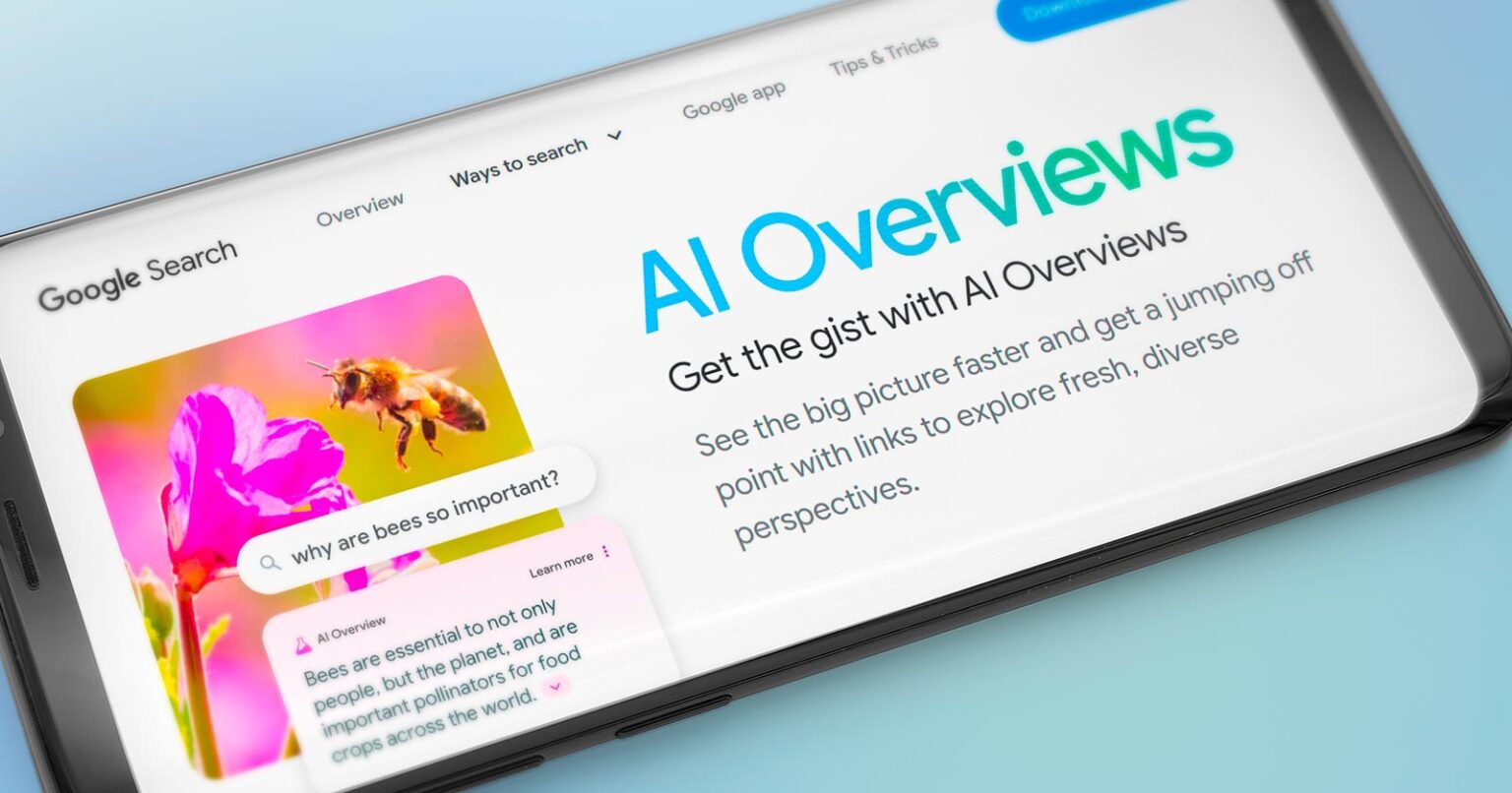 Google AI Overviews